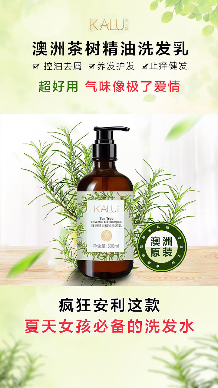 澳洲茶树精油洗发乳