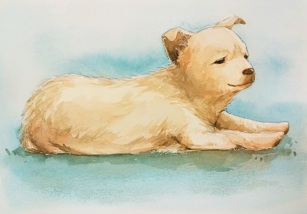 写生集（图ZMTE3NzIxNTg0） - 绘画 - 站酷设计师丁丁阿丁原创素材 - 站酷ZCOOL