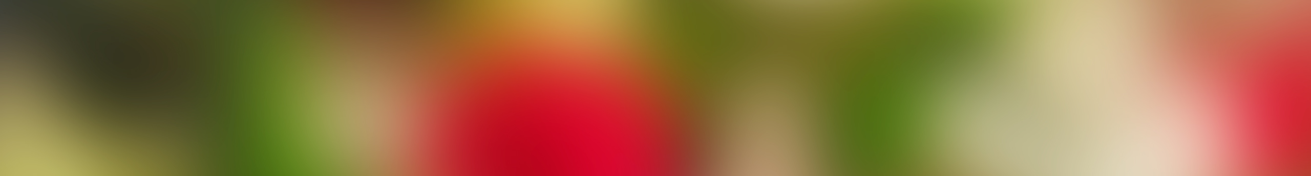 虫虫三世的个人主页（封面预览） - 主页封面设置 - 站酷设计师虫虫三世原创素材 - 站酷ZCOOL