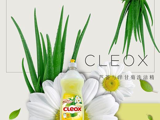 cleox洗洁精