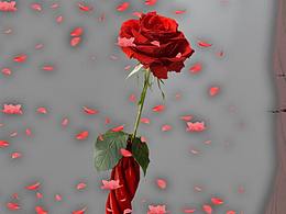 嬌艷 與你 相逢 無歸期