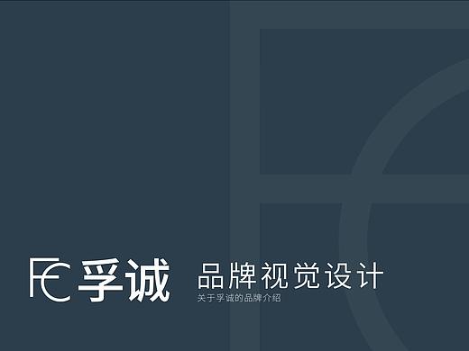 VI手册