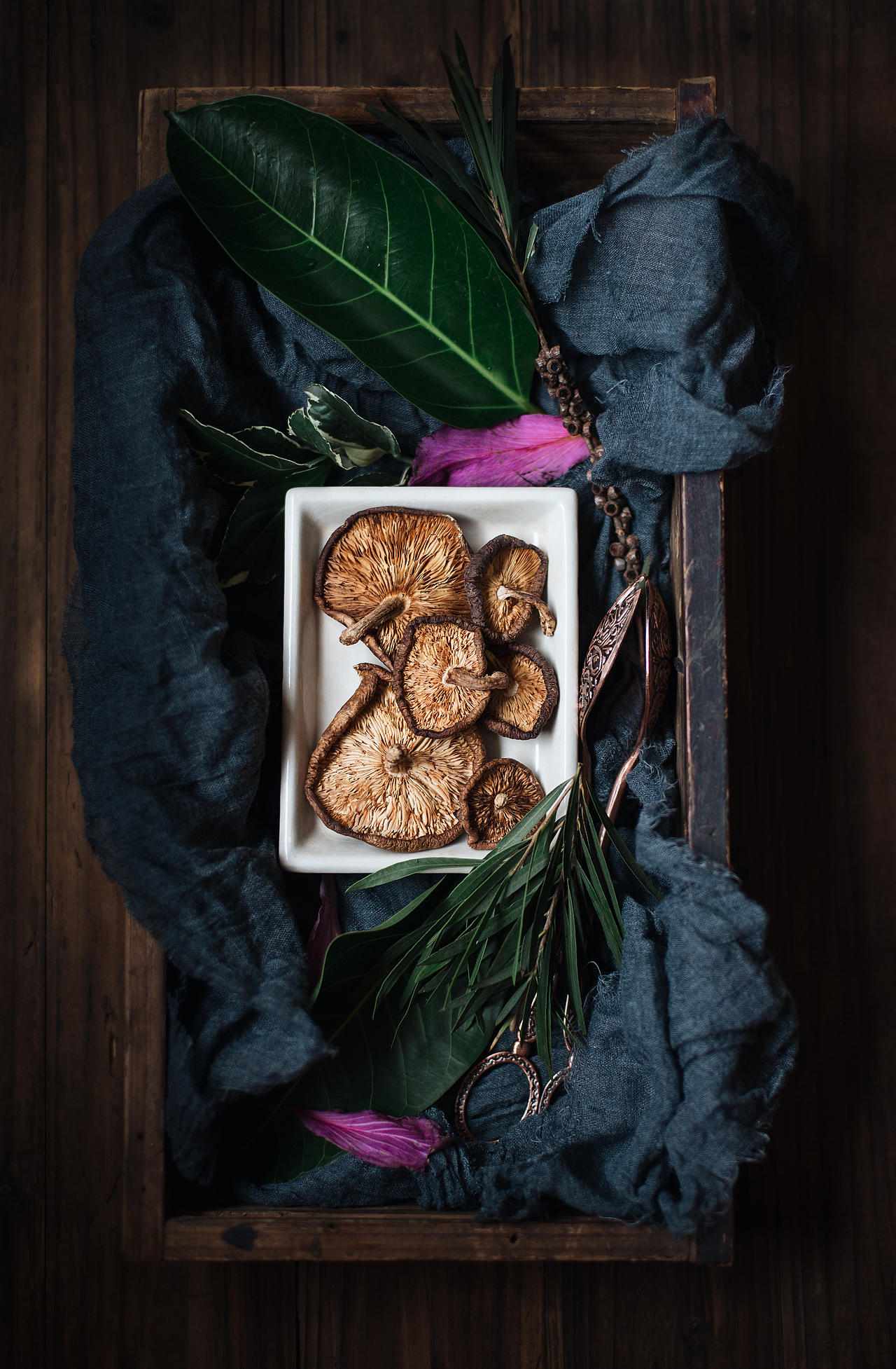 美食拍摄 | 野生香菇（图ZMTIwOTY3NTI4） - 产品摄影 - 站酷设计师梵光艺术原创素材 - 站酷ZCOOL