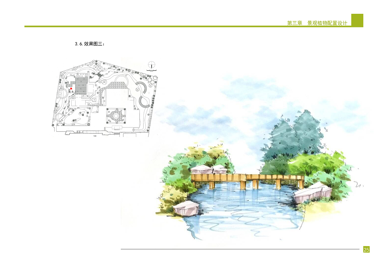 庭院景观植物设计方案