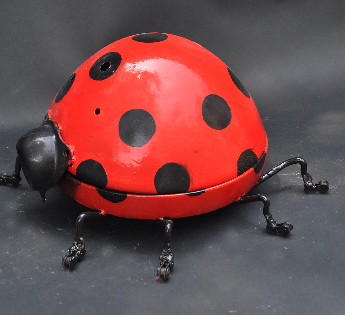 动物过年大集合