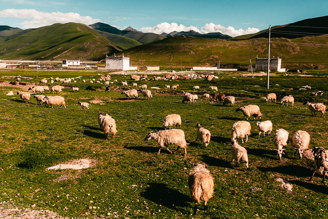 2020年川藏线摩托车旅行（图ZMjM4MDY3MjI0） - 人文/纪实摄影 - 站酷设计师程弎益原创素材 - 站酷ZCOOL