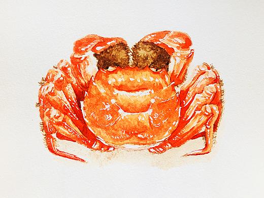 水彩小画练习