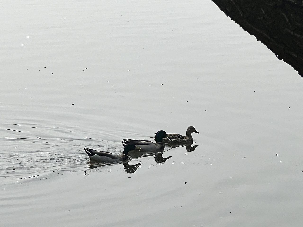 雕塑，隨拍。（圖ZMzUyOTU5OTg0） - 人文/紀實攝影 - 站酷設(shè)計師章魚灰原創(chuàng)素材 - 站酷ZCOOL