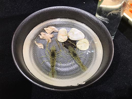 树脂画虾（个人主页-ZMjUxMjQ5NDA=） - 工艺品设计 - 站酷设计师飘渺色彩控原创素材 - 站酷ZCOOL