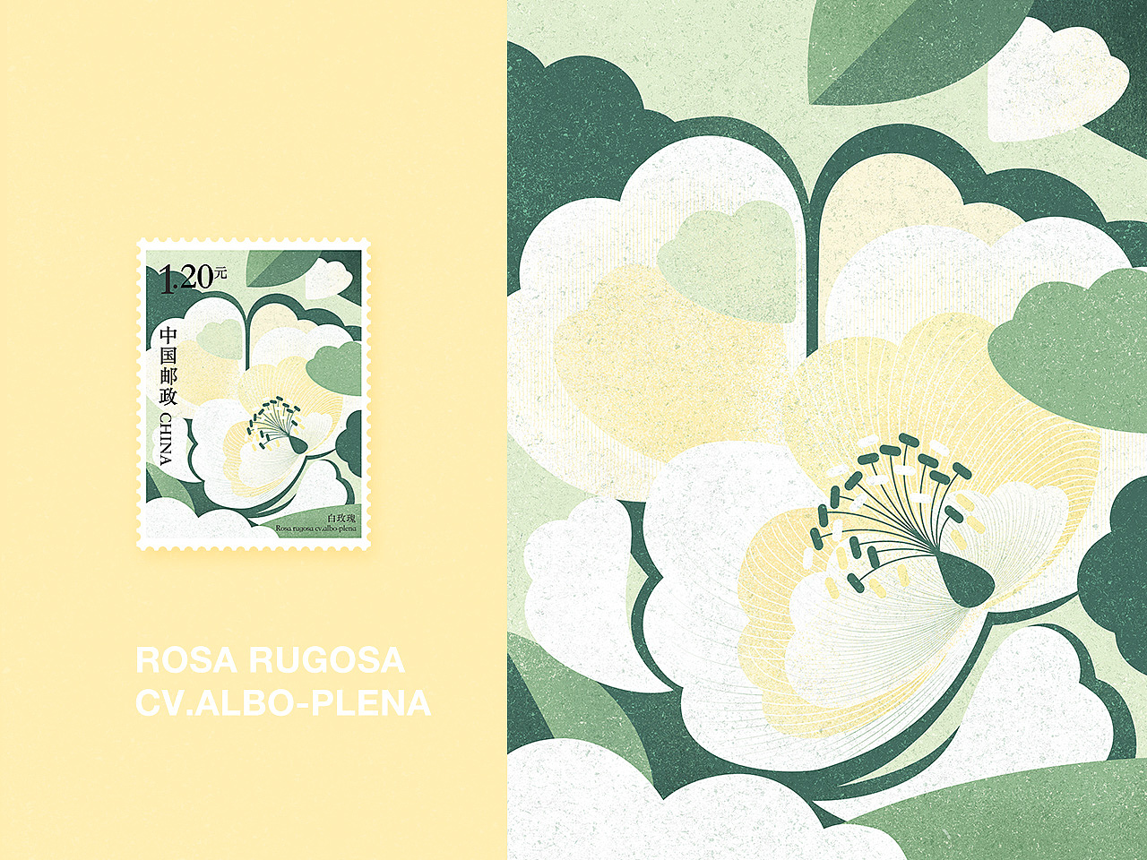 520 玫瑰特种邮票-图案设计（图ZMjA4NDA3MzIw） - 图案 - 站酷设计师咏子禾原创素材 - 站酷ZCOOL