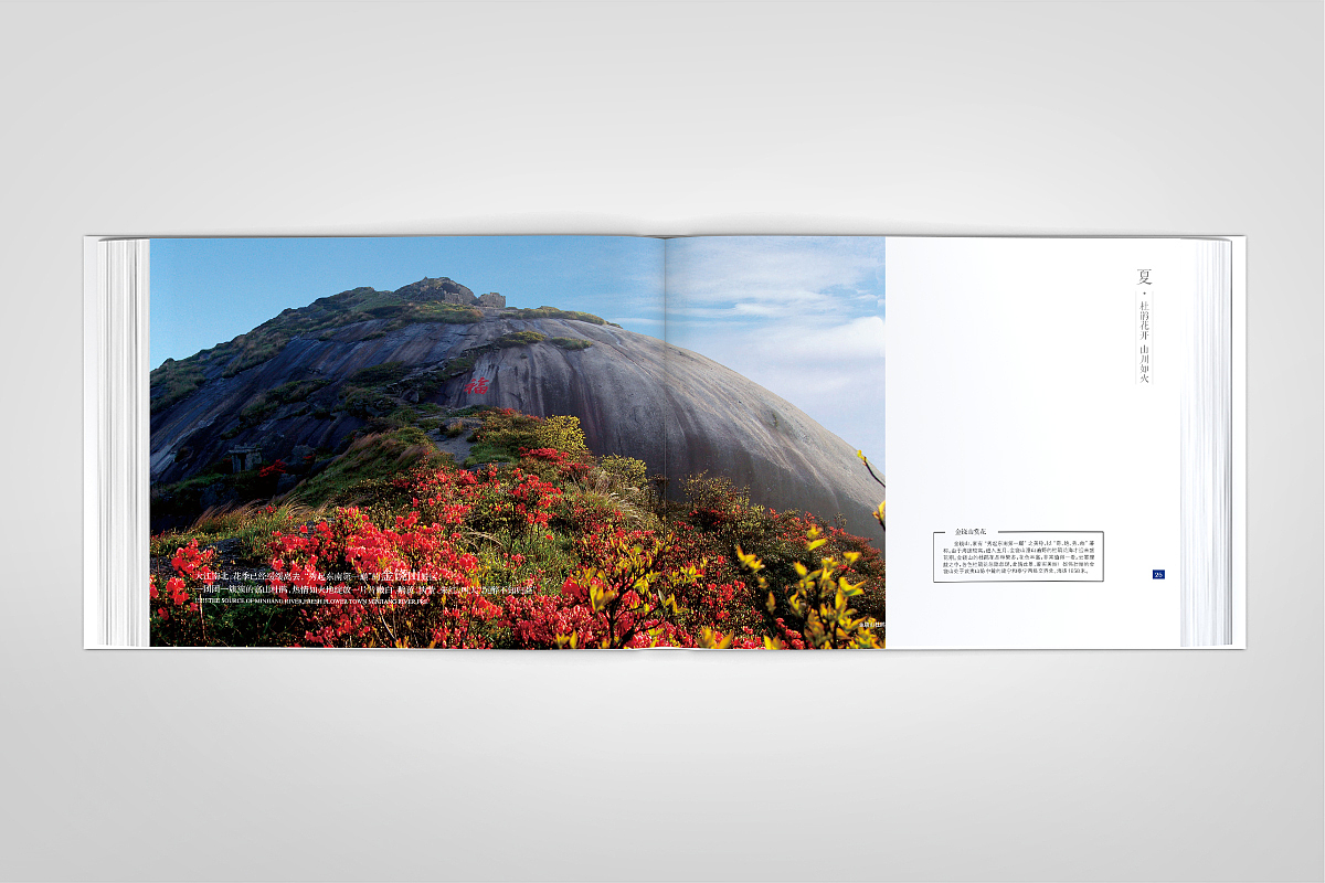 清新花香·福源建宁-精装画册-源艺设计