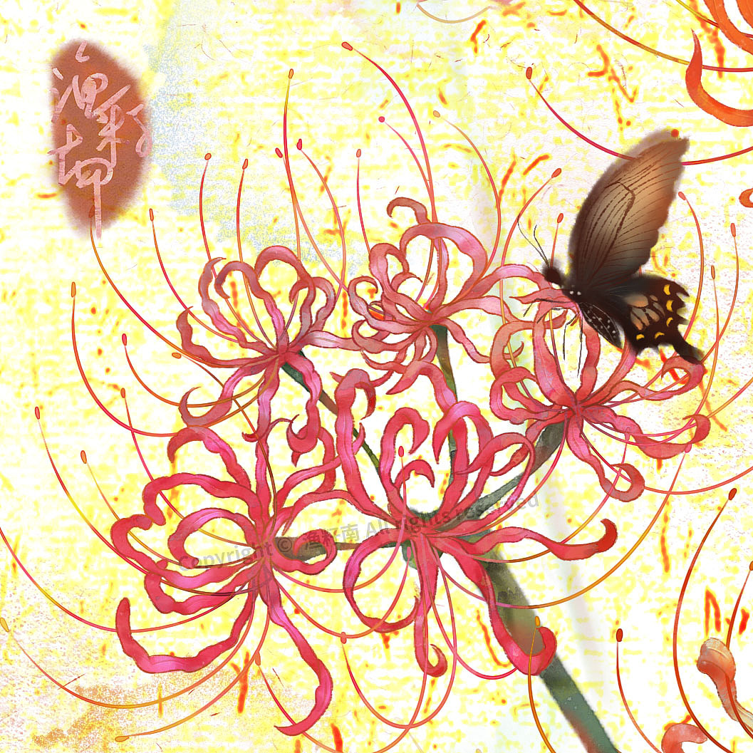 花卉系列彼岸花