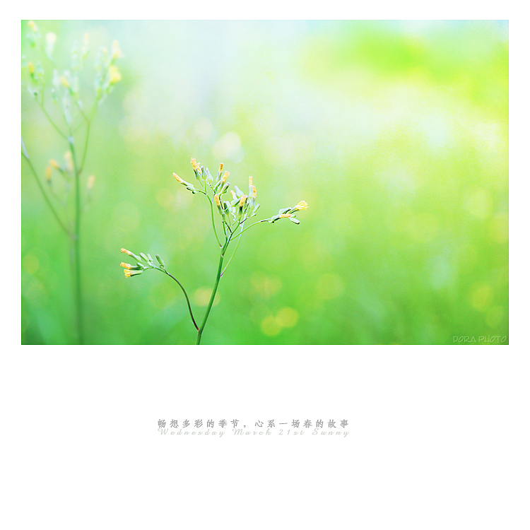 春的诗笺（图ZNzEyNTA2NTY=） - 风光摄影 - 站酷设计师朵拉影像原创素材 - 站酷ZCOOL