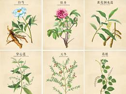 信息可视化