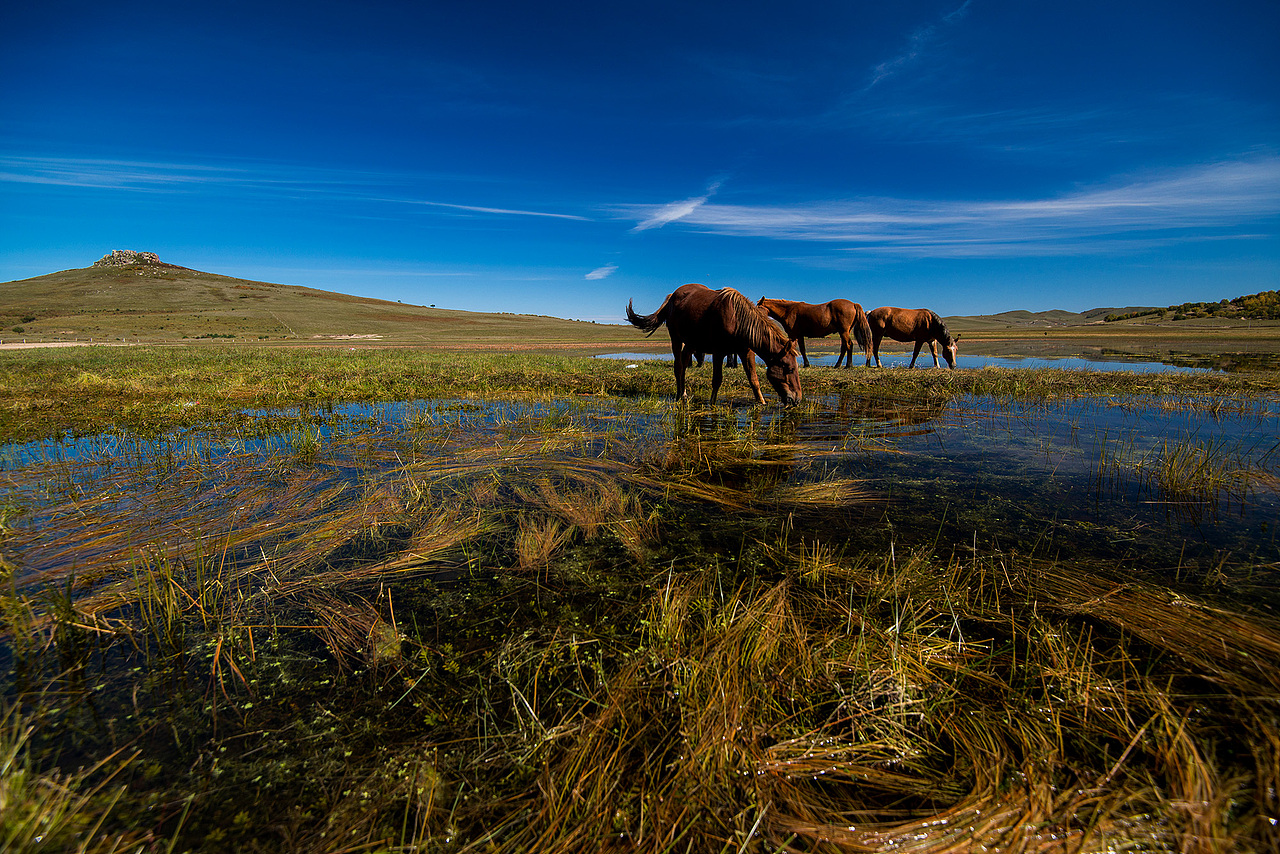 乌兰布统-第四次进内蒙