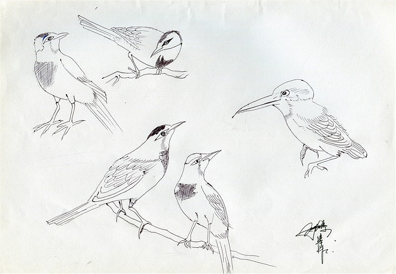 手繪（圖ZMTM5NTY0MTY=） - 繪畫(huà) - 站酷設(shè)計(jì)師康華輝原創(chuàng)素材 - 站酷ZCOOL