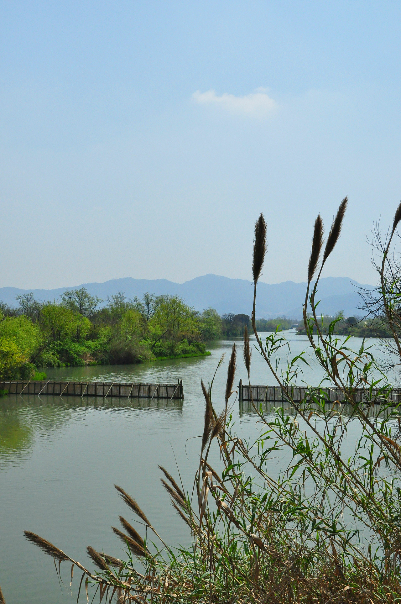 大学摄影随手拍拍（图ZMjUwOTI3MzY=） - 风光摄影 - 站酷设计师传媒摄影人原创素材 - 站酷ZCOOL