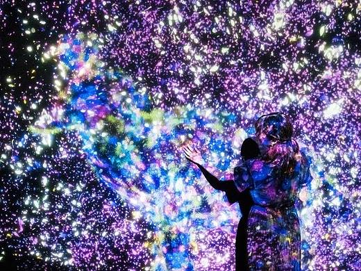 全息互动花之动物园