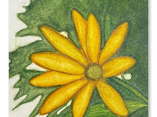 一朵洋姜花