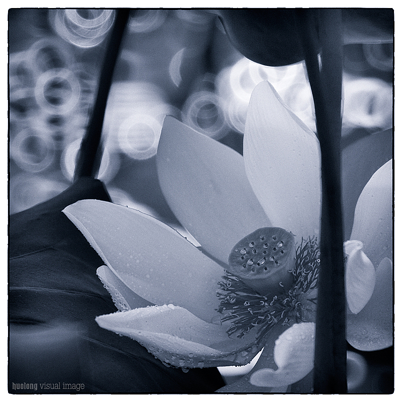 墨色（图ZOTE4MDY3MTY=） - 风光摄影 - 站酷设计师火龙视觉影像原创素材 - 站酷ZCOOL