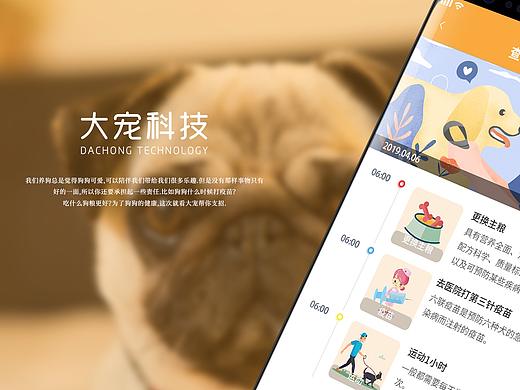 大宠科技-小程序