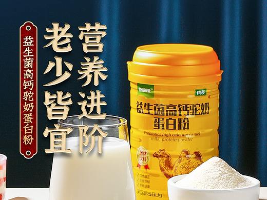 益生菌高钙驼奶蛋白粉