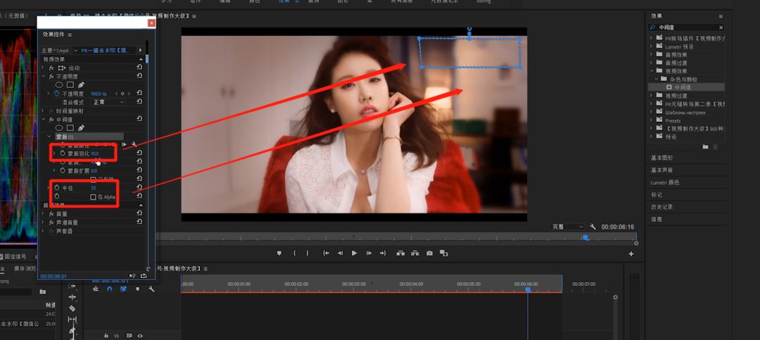 pr去水印文图解析