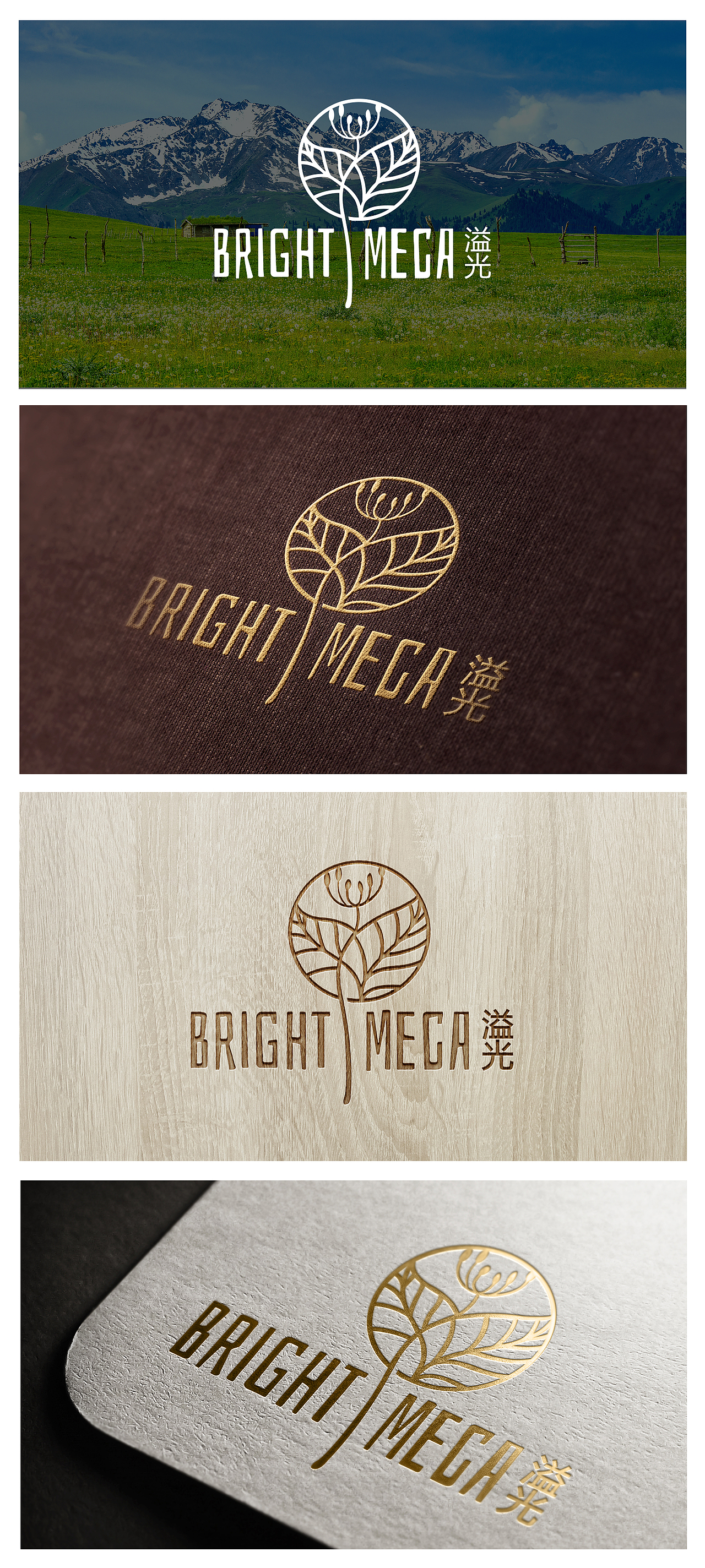 蒲公英主题logo（图ZMTUyNDA2NjI4） - Logo - 站酷设计师一只想象猫原创素材 - 站酷ZCOOL