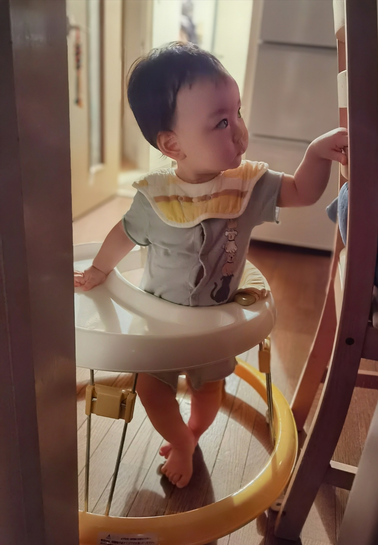 飞跃在丛林中的小精灵