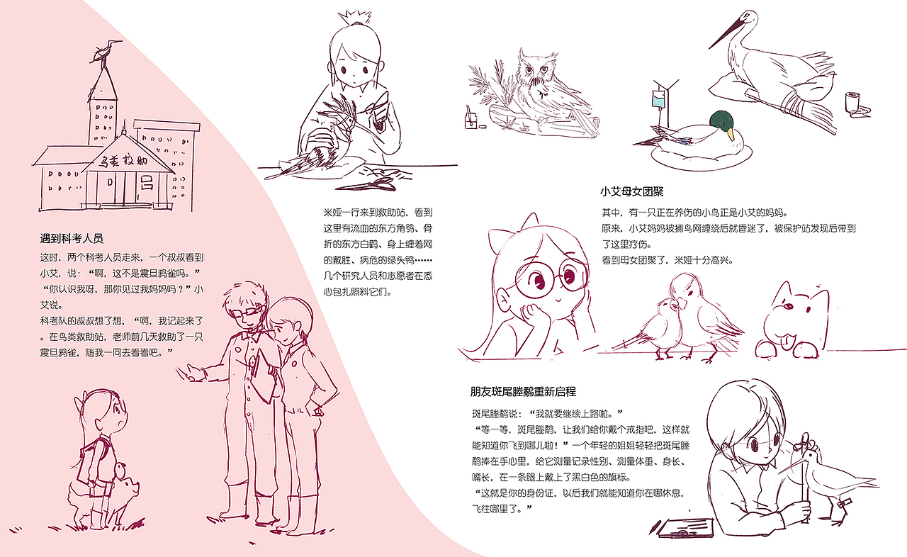 科学绘本分镜湿地的鸟类