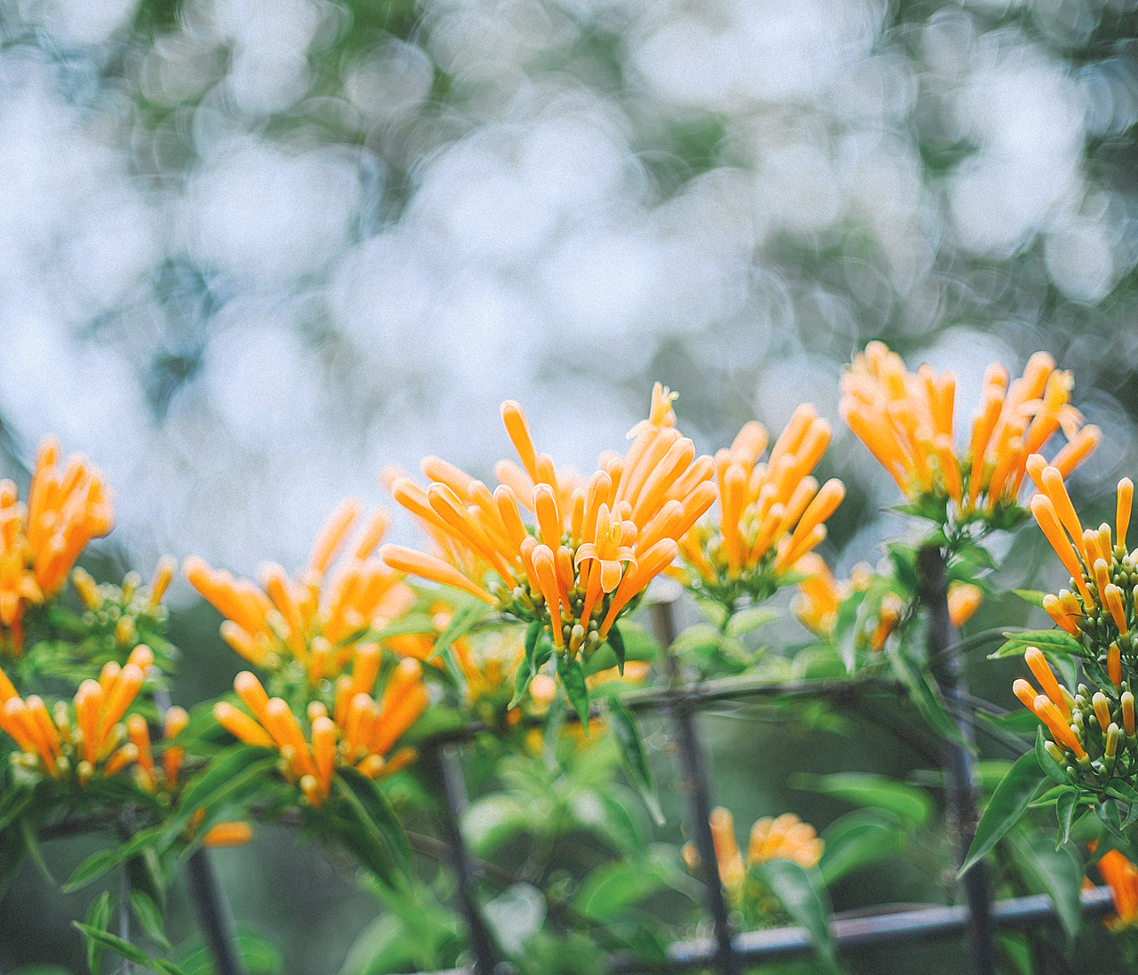 生活处处是美好 ​​​（图ZMTQ4OTY4Mzgw） - 产品摄影 - 站酷设计师小正兔子原创素材 - 站酷ZCOOL