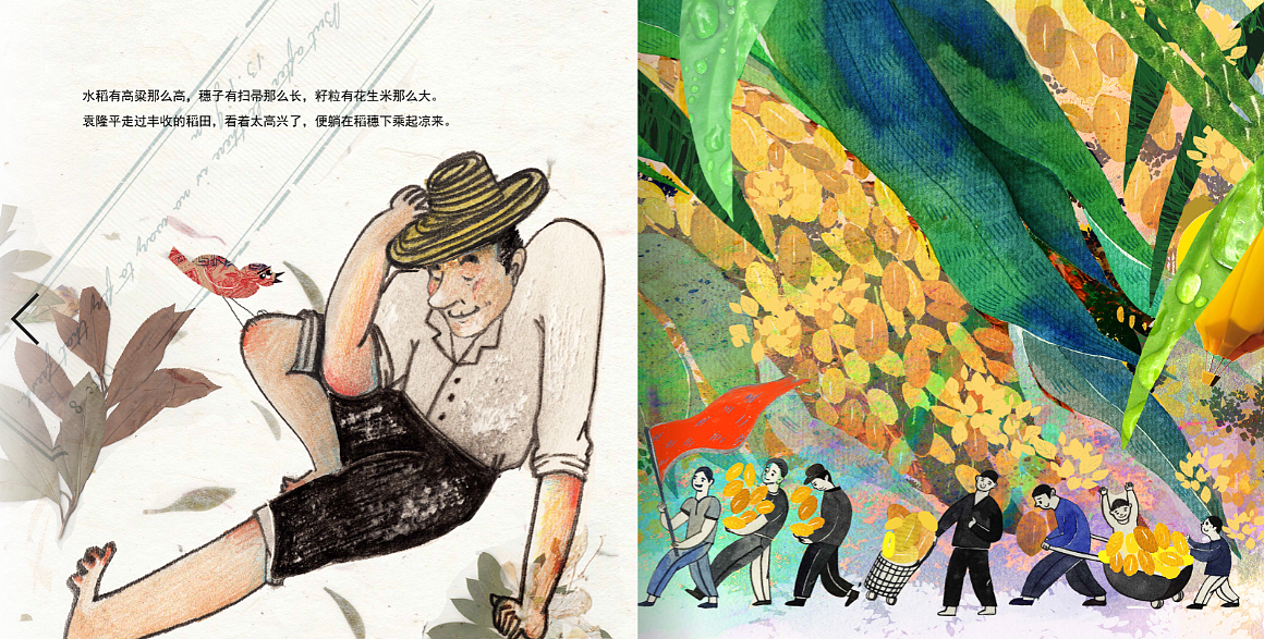 杂交水稻之父袁隆平