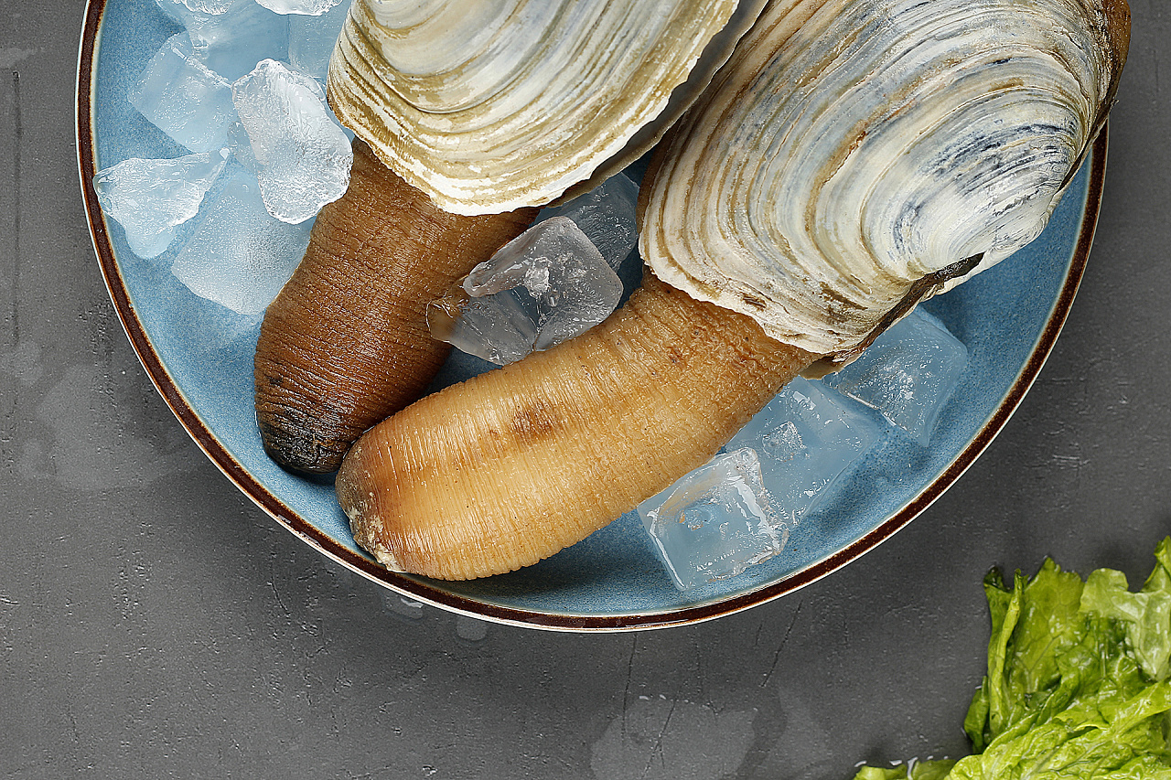 象拔蚌拍摄丨这生物很尴尬丨飞鸟电商