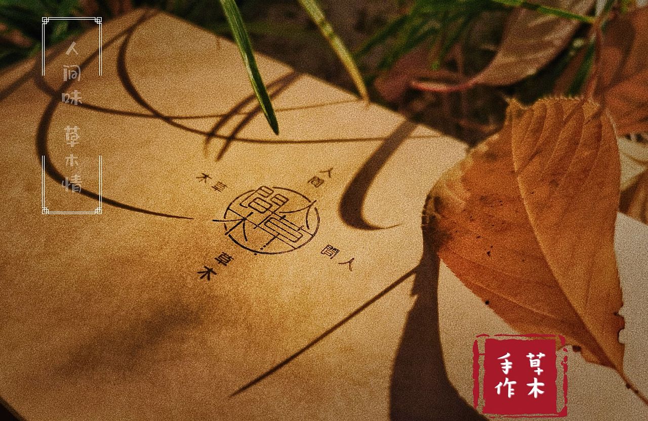 人间草木——手工植物染