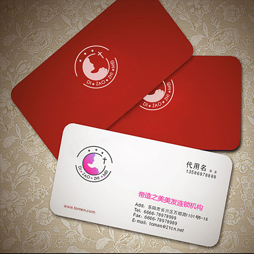 某连锁机构vis飞机稿