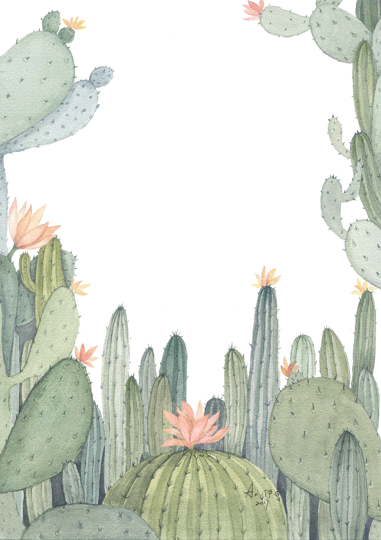 仙人掌 水彩