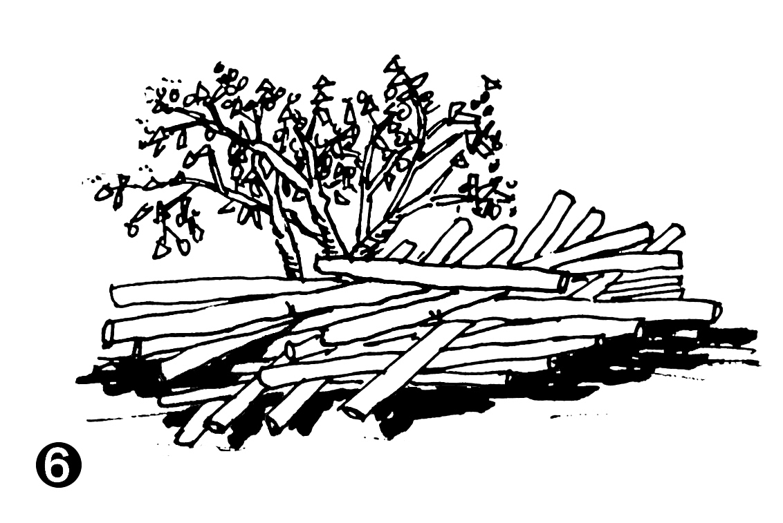 跟着步骤画一堆木头，就是这么简单，5分钟画好（图ZMTkwNjc2OTQ0） - 绘画 - 站酷设计师陈红军原创素材 - 站酷ZCOOL