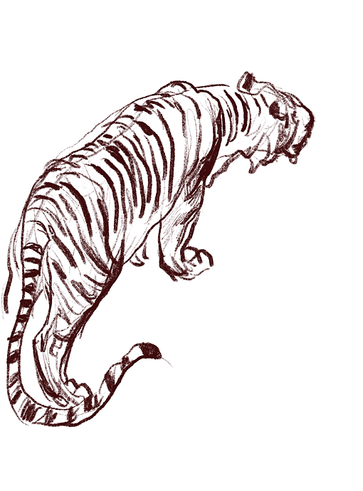 地铁上练习（动物篇）（图ZMTQ4MTk0NjYw） - 创作习作 - 站酷设计师S肚子爱画画D原创素材 - 站酷ZCOOL