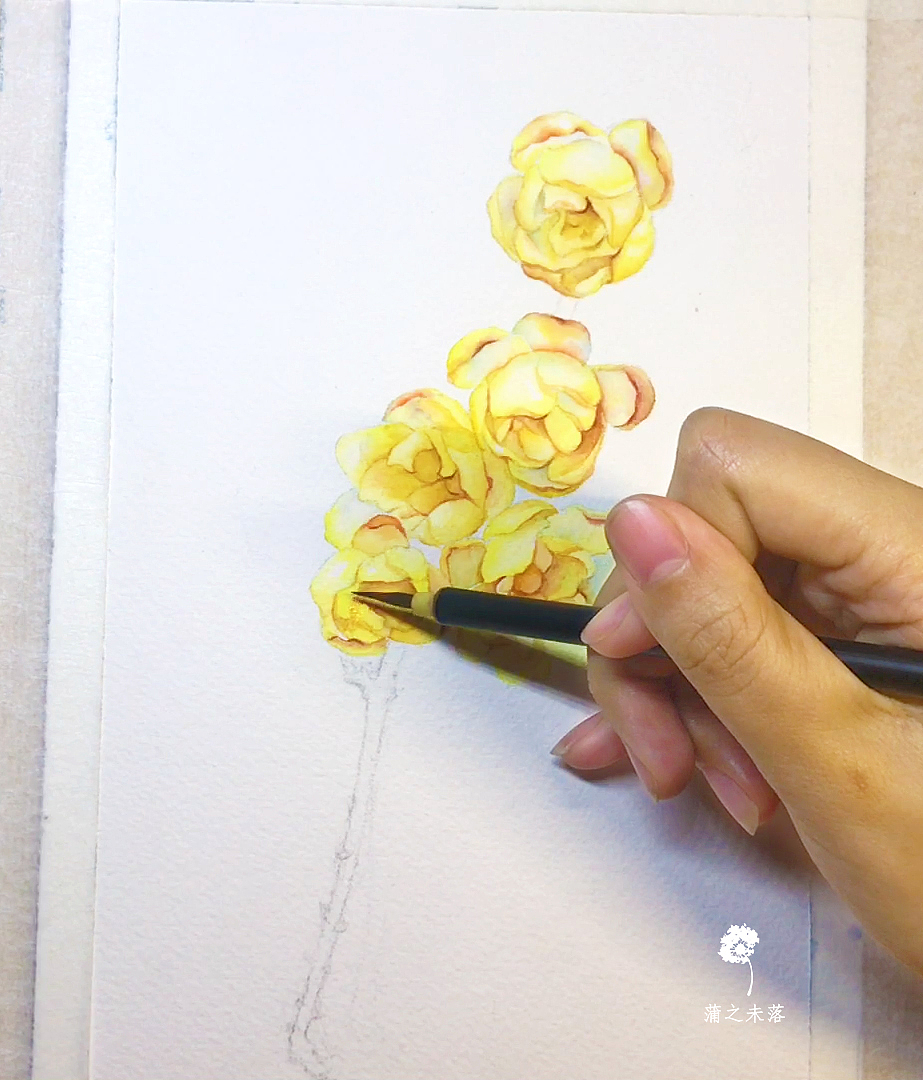水彩绘——腊梅，天气一冷我就会疯狂的想念她的味道（图ZMTA0NDY4Mzg4） - 绘画 - 站酷设计师蒲之未落原创素材 - 站酷ZCOOL