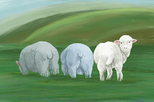 羊咩咩｜练习作（图ZMzE3ODc5NjIw） - 创作习作 - 站酷设计师艮音原创素材 - 站酷ZCOOL