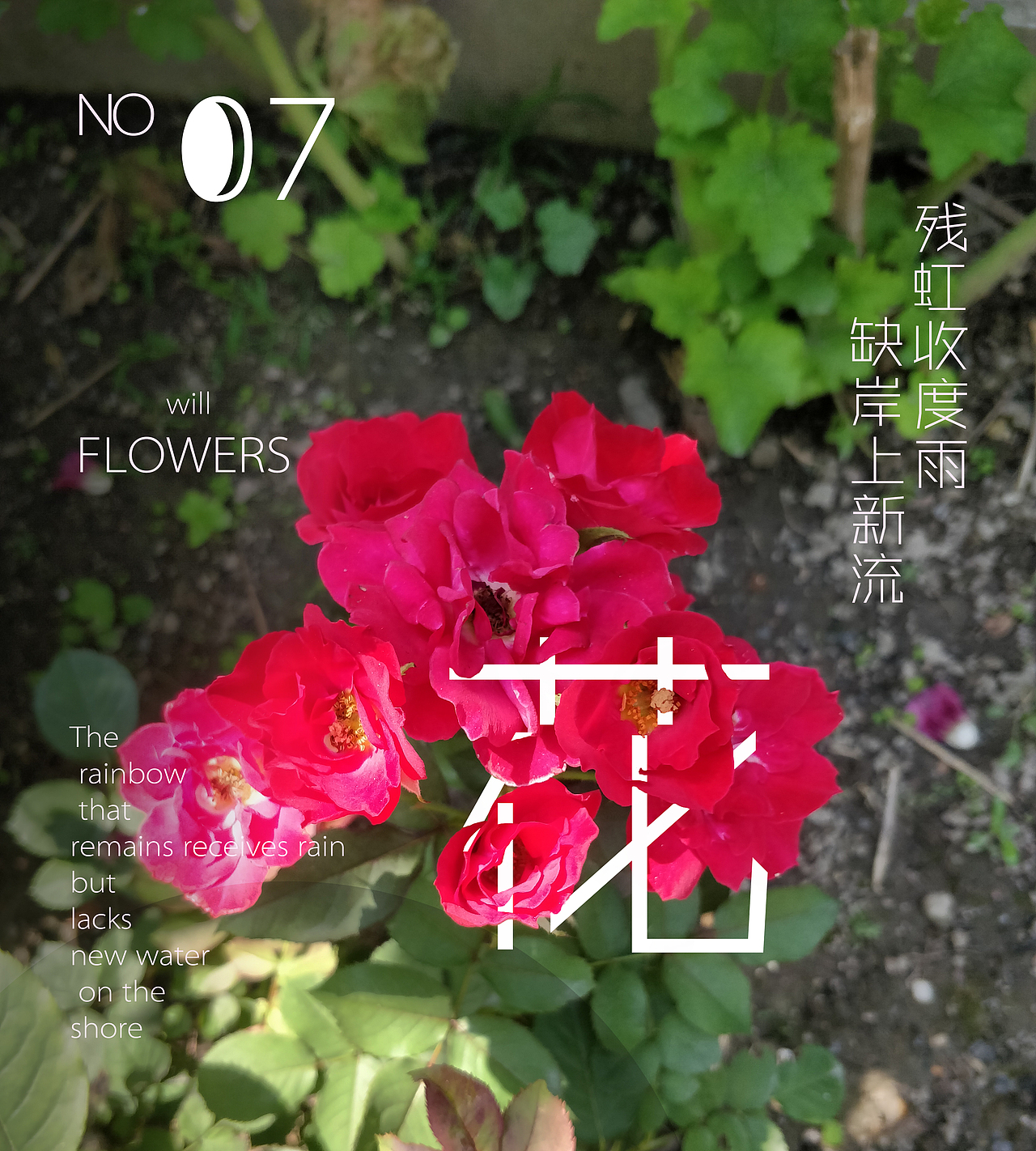 雨后却斜阳，杏花零落香（图ZMTE4MjQ5NTIw） - 产品摄影 - 站酷设计师胡虎虎胡红原创素材 - 站酷ZCOOL