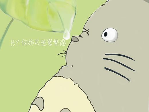 龙猫