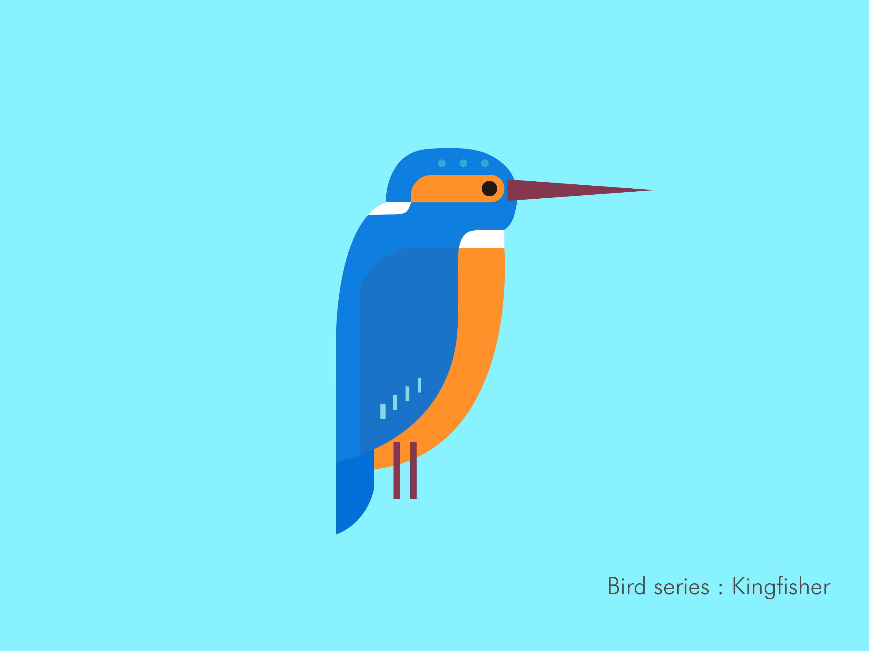 kingfisher