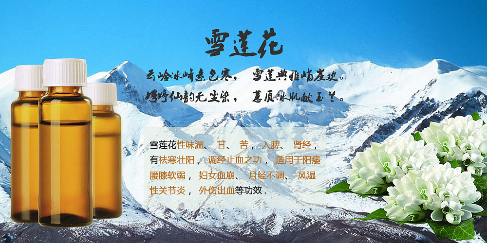 雪莲花深圳 |            