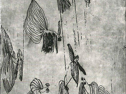 金鱼迪斯科 Guppy Techno#2