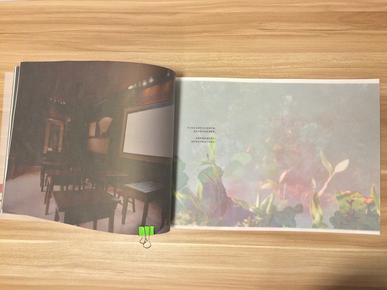归来(图ZMjIzNDA2OTY=) - 书籍/画册 - 站酷设计师luolanhui原创素材 - 站酷ZCOOL