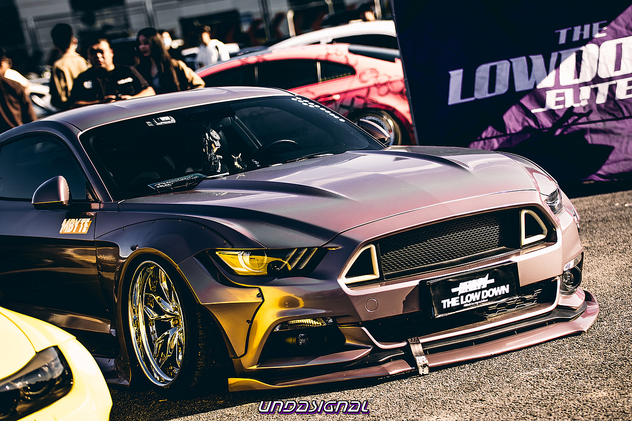 汽车摄影｜金港复苏节