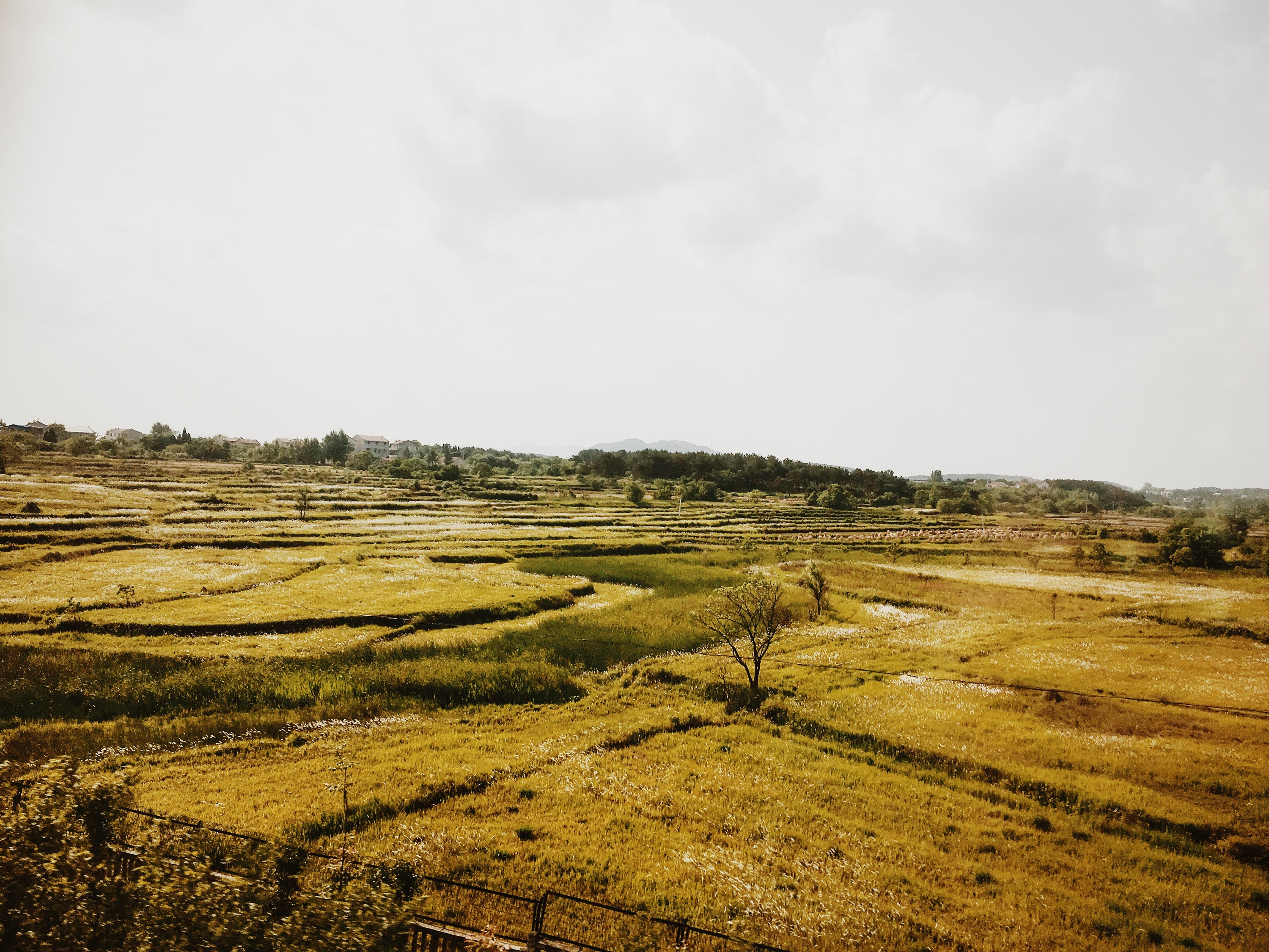 动车D2218沿途随拍