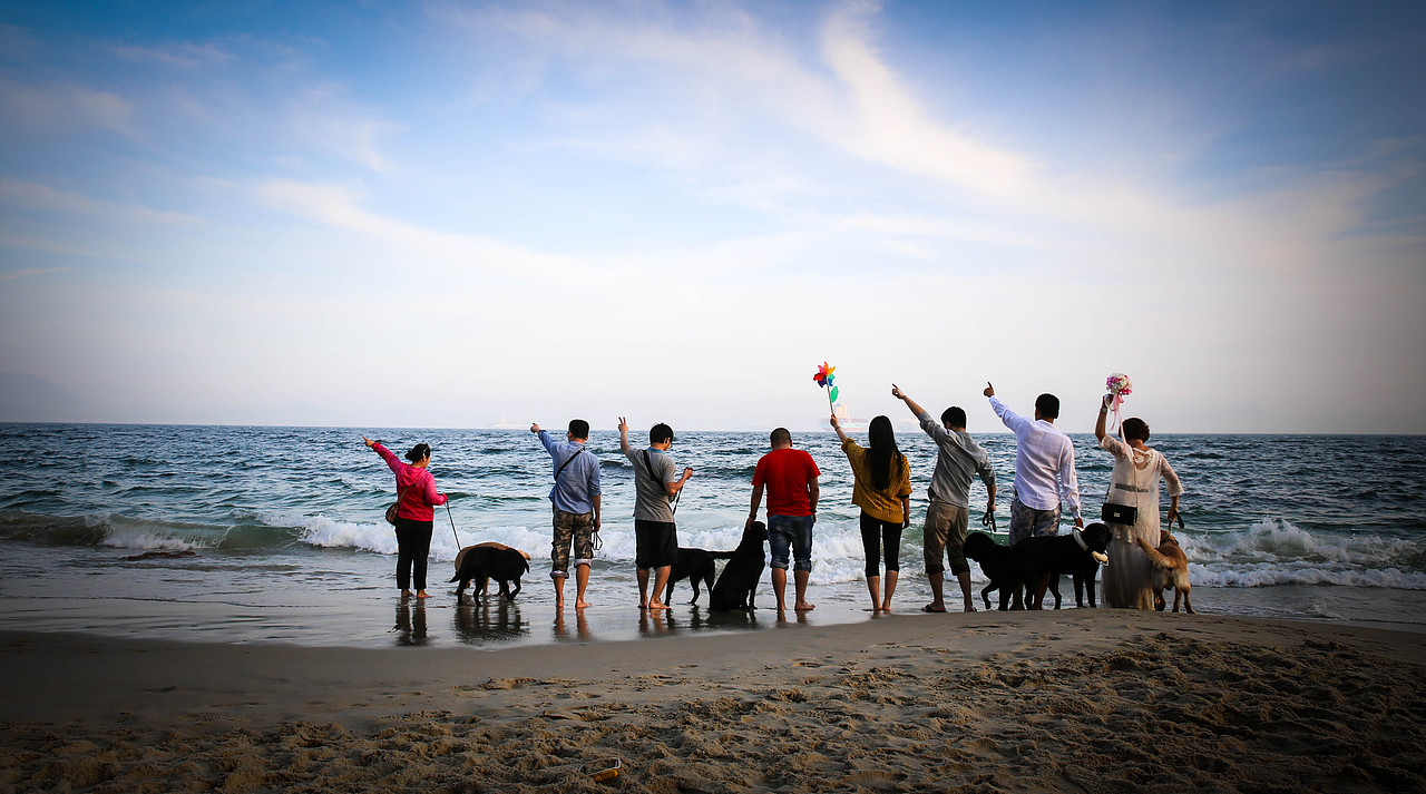 ipet宠物摄影拉拉狗友深圳背仔角海边聚会