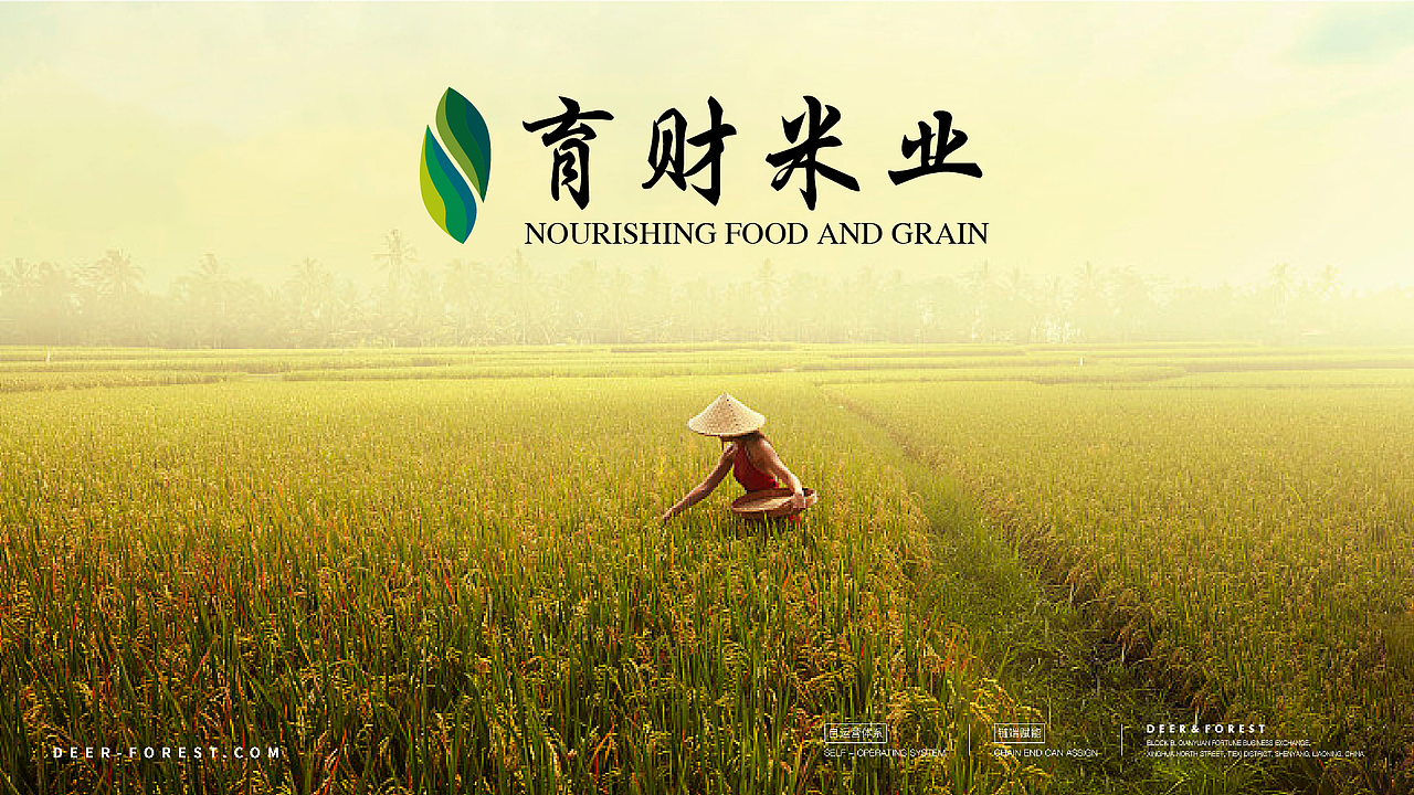 东北育财米业品牌设计（图ZMjcwNzc2NDcy） - 品牌 - 站酷设计师王木水原创素材 - 站酷ZCOOL